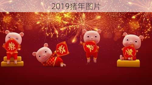 2019猪年图片