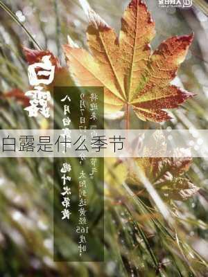 白露是什么季节-第2张图片-滋味星座网