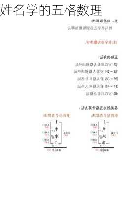 姓名学的五格数理-第1张图片-滋味星座网