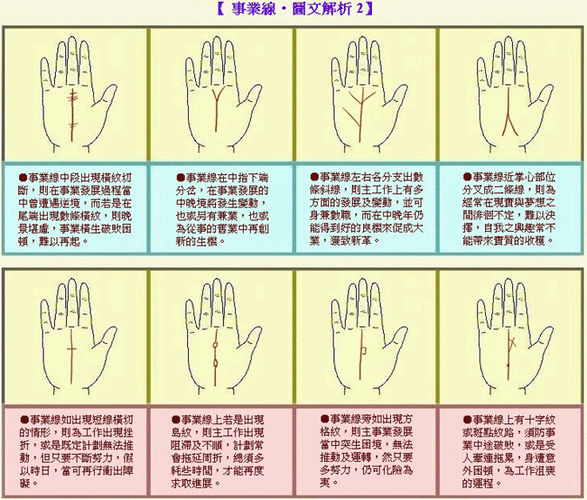 事业线图解-第3张图片-滋味星座网