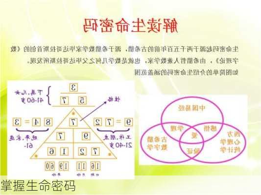 掌握生命密码-第2张图片-滋味星座网