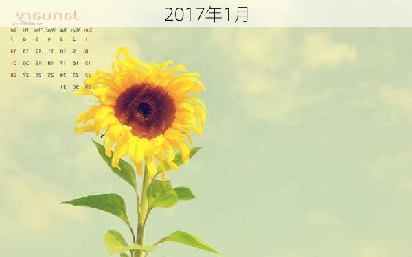 2017年1月-第3张图片-滋味星座网