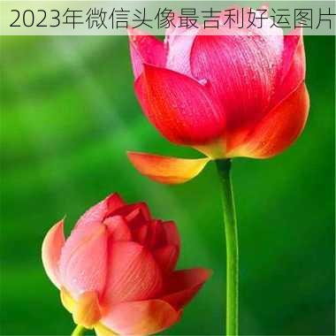 2023年微信头像最吉利好运图片-第2张图片-滋味星座网