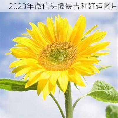 2023年微信头像最吉利好运图片