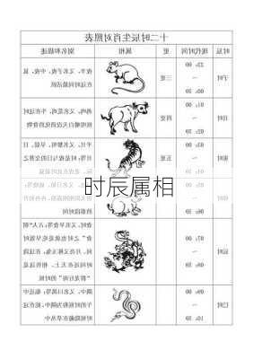 时辰属相-第2张图片-滋味星座网