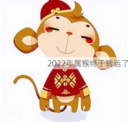 2022年属猴终于转运了