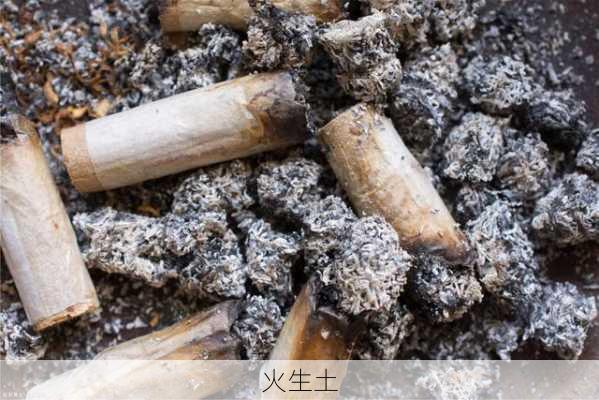 火生土-第2张图片-滋味星座网