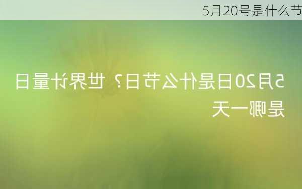 5月20号是什么节-第2张图片-滋味星座网