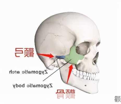 颧-第1张图片-滋味星座网