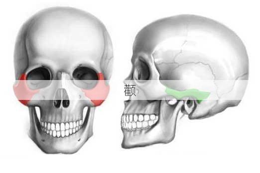 颧-第3张图片-滋味星座网