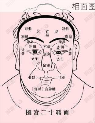 相面图-第2张图片-滋味星座网