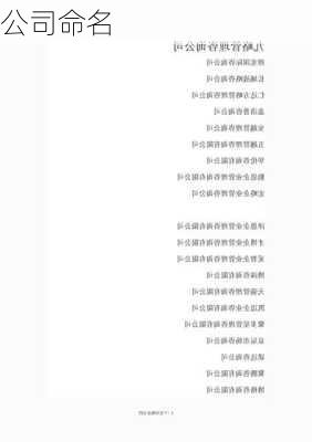 公司命名-第3张图片-滋味星座网