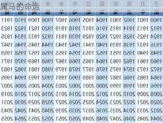 属马的命运-第2张图片-滋味星座网