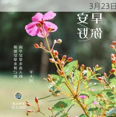 3月23日-第2张图片-滋味星座网