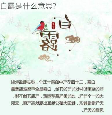 白露是什么意思?-第3张图片-滋味星座网