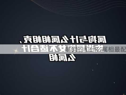 属狗的和什么属相最配-第3张图片-滋味星座网