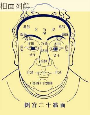 相面图解-第1张图片-滋味星座网