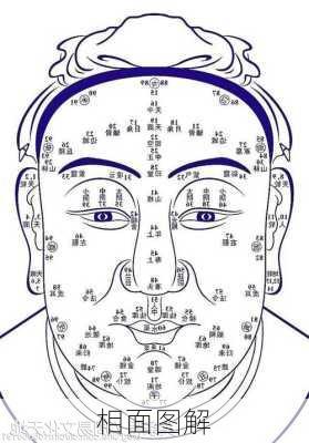 相面图解-第3张图片-滋味星座网