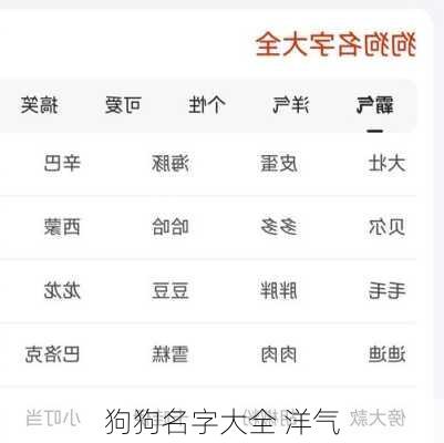 狗狗名字大全 洋气