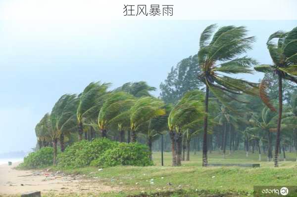 狂风暴雨-第3张图片-滋味星座网