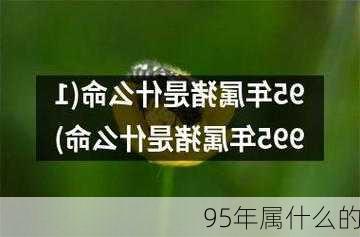 95年属什么的-第3张图片-滋味星座网