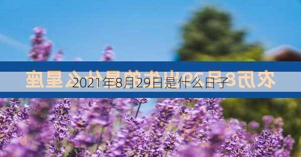 2021年8月29日是什么日子-第3张图片-滋味星座网