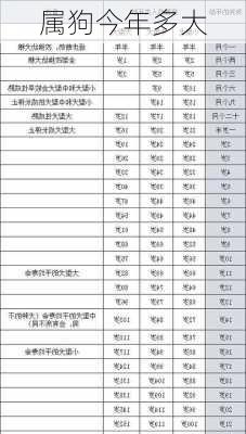 属狗今年多大-第1张图片-滋味星座网