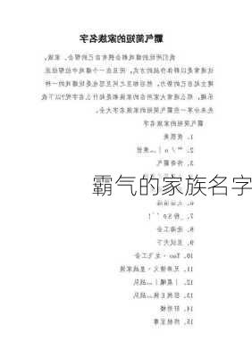 霸气的家族名字