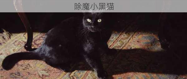 除魔小黑猫-第3张图片-滋味星座网