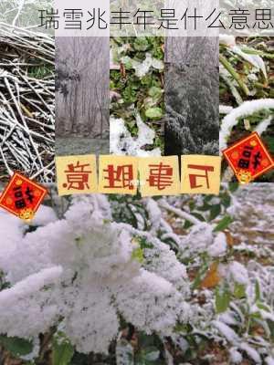 瑞雪兆丰年是什么意思-第3张图片-滋味星座网