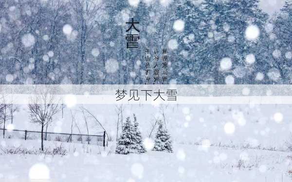 梦见下大雪-第2张图片-滋味星座网