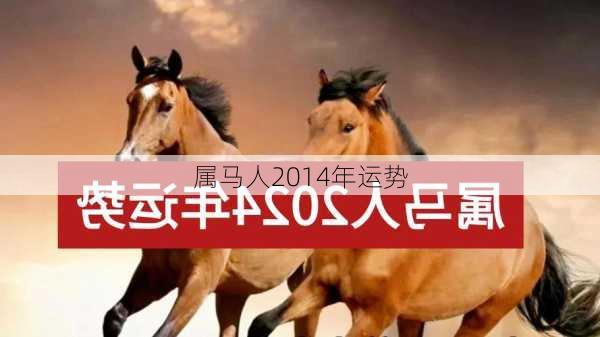 属马人2014年运势-第3张图片-滋味星座网