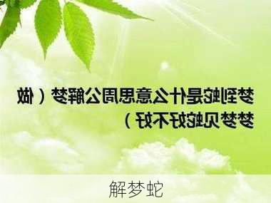 解梦蛇-第2张图片-滋味星座网