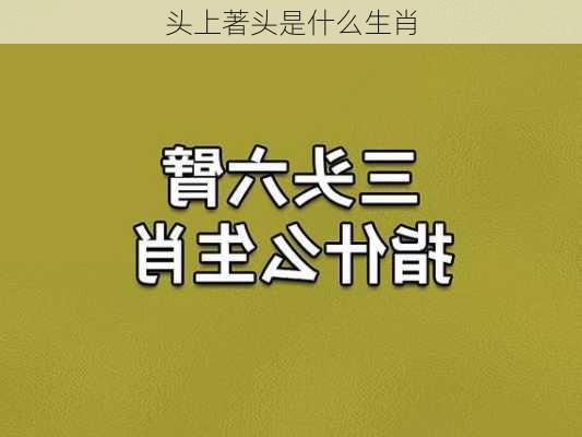 头上著头是什么生肖-第3张图片-滋味星座网