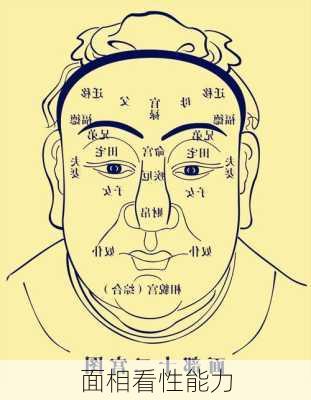 面相看性能力-第2张图片-滋味星座网