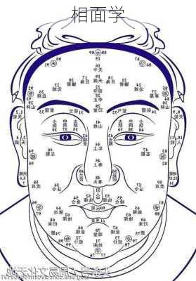 相面学-第2张图片-滋味星座网