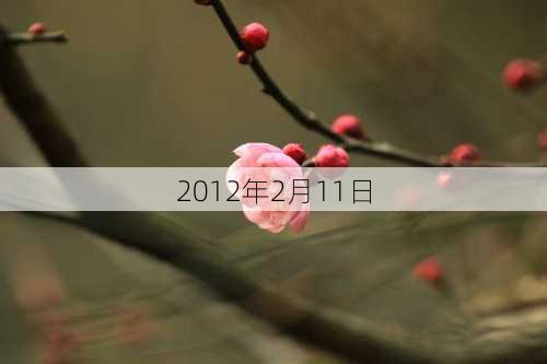 2012年2月11日-第3张图片-滋味星座网