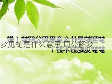 梦见蛇是什么意思 周公解梦-第3张图片-滋味星座网