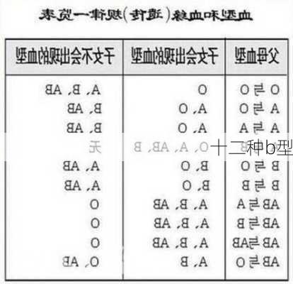 十二种b型-第2张图片-滋味星座网