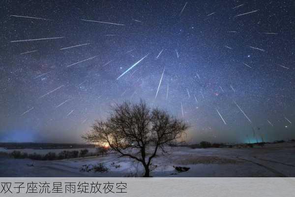 双子座流星雨绽放夜空-第3张图片-滋味星座网