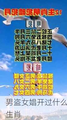 男盗女娼开过什么生肖-第3张图片-滋味星座网