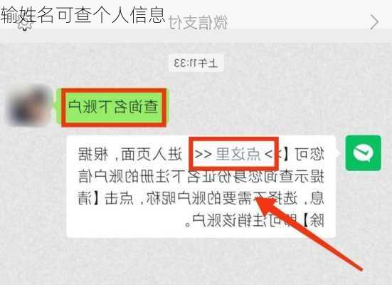 输姓名可查个人信息-第3张图片-滋味星座网