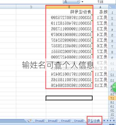 输姓名可查个人信息-第2张图片-滋味星座网