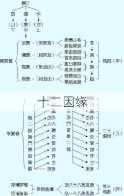 十二因缘-第2张图片-滋味星座网