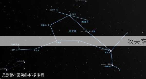 牧夫座-第2张图片-滋味星座网