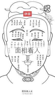 面相看人-第3张图片-滋味星座网