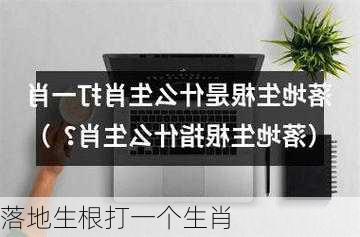 落地生根打一个生肖