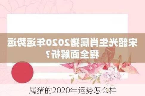 属猪的2020年运势怎么样-第2张图片-滋味星座网