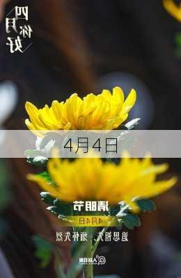 4月4日-第2张图片-滋味星座网