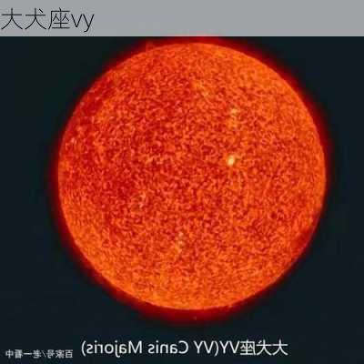 大犬座vy-第1张图片-滋味星座网